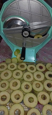 دستگاه اسلایسر دوار دستی