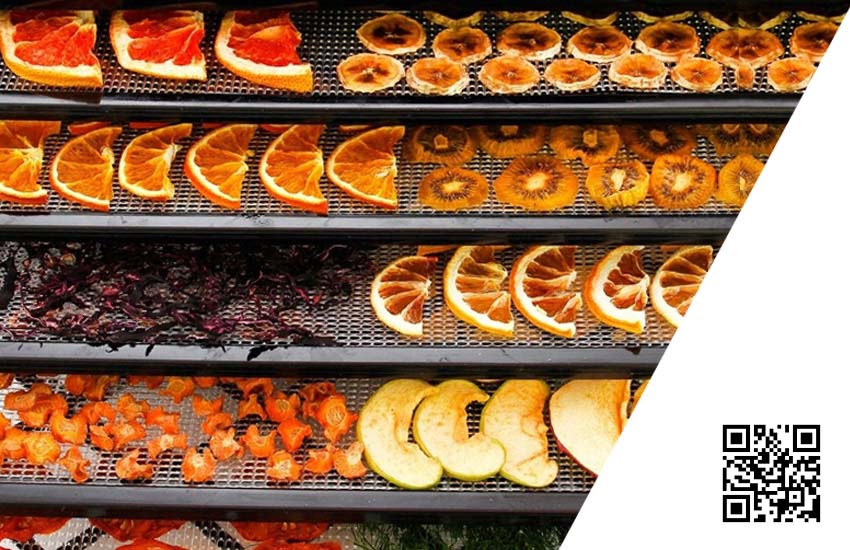 راهنمای خرید دستگاه میوه خشک کن و معرفی 3 مدل پرفروش آن