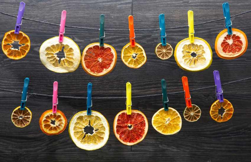 چگونه کار میوه خشک کنی را شروع کنیم؟